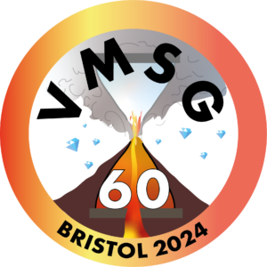 VMSG2024 logo